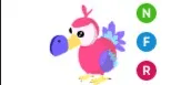 Dodo NFR