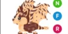Chocolate Chip Bat Dragon NFR