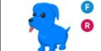 Gambar Product Blue Dog FR