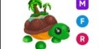 Gambar Product Tortuga de la Isla MFR