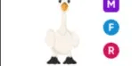 Swan MFR
