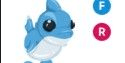Gambar Product Shark Puppy FR