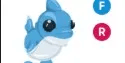 Shark Puppy FR