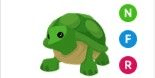 Gambar Product Turtle NFR