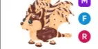 Chocolate Chip Bat Dragon MFR