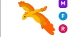 Phoenix MFR