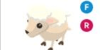 Gambar Product Lamb FR