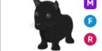 Gambar Product Black Panther MFR