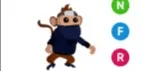Ninja Monkey NFR