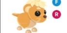 Gambar Product Lion Cub FR