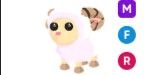 Gambar Product Ram MFR