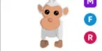 Albino Monkey MFR