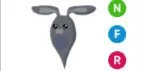 Ghost Bunny NFR