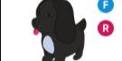 Gambar Product Royal Palace Spaniel FR