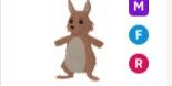 Gambar Product Kangaroo MFR