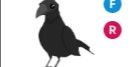 Gambar Product Crow FR