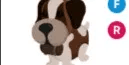 St Bernard FR