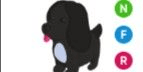 Gambar Product Royal Palace Spaniel NFR