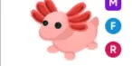 Axolotl MFR