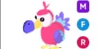 Dodo MFR