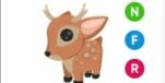 Gambar Product Fallow Deer NFR