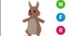 Kangaroo NFR