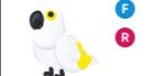 Gambar Product White Amazon FR