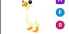 Goose MFR