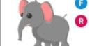 Gambar Product Elephant FR
