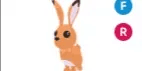 Hare FR