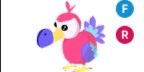 Gambar Product Dodo FR