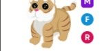 Gambar Product Lunar Gold Tiger MFR