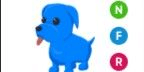 Gambar Product Blue Dog NFR