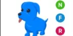 Blue Dog NFR