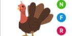 Gambar Product Turkey NFR