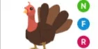 Turkey NFR