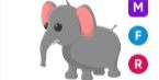 Gambar Product Elephant MFR