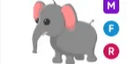 Elephant MFR