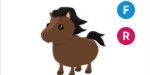 Gambar Product Horse FR