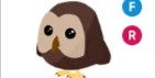Gambar Product Owl FR