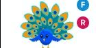 Gambar Product Peacock FR