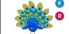 Peacock FR