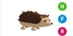 Gambar Product Hedgehog NFR