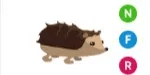 Hedgehog NFR