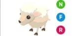Lamb NFR