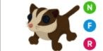 Gambar Product Sugar Glider NFR