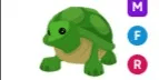 Turtle MFR