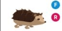 Gambar Product Hedgehog FR
