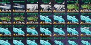 Transcended Stone