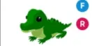 Crocodile FR